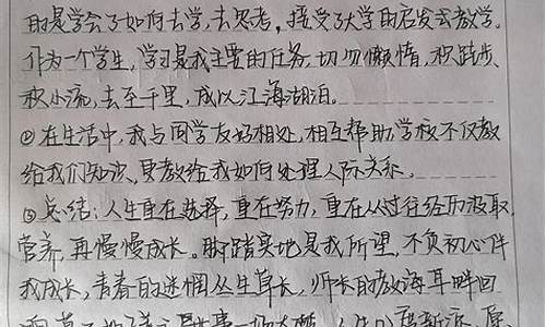 学年考核表个人总结